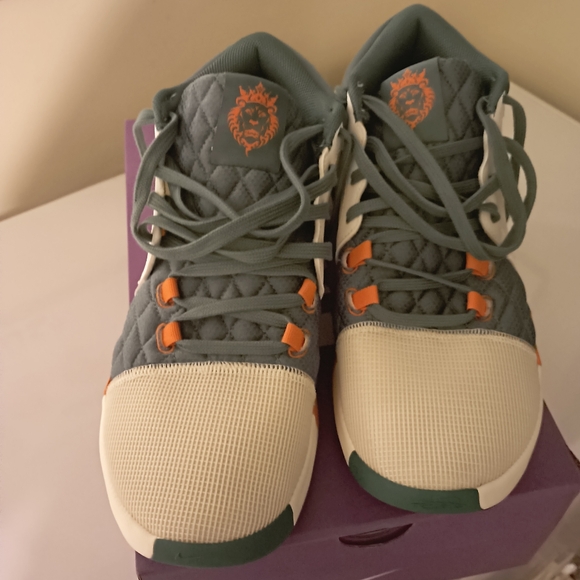 Nike Size 12 men Labron James Miami hurricanes color. New in the box - Picture 4 of 8
